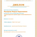 дипломМушарова